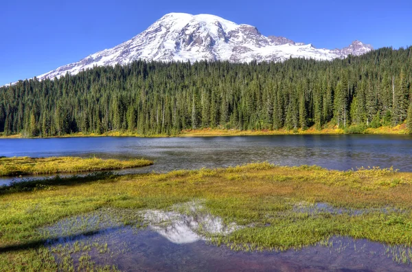 Mt. Rainier Reflection — Stock Photo, Image