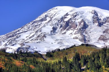 Mt. Rainier