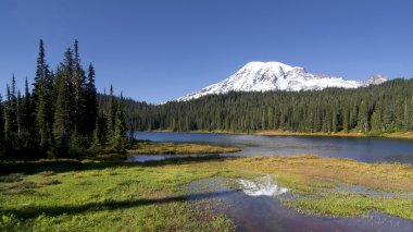 Yansıma Gölü, Mt. Rainier.