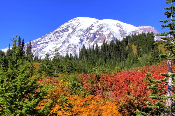 Mt. Rainier in the fall. — Stock Photo, Image