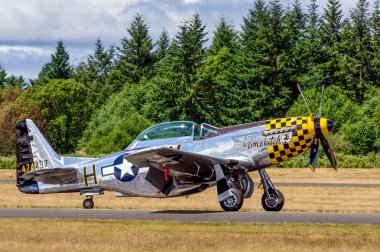 P-51 Mustang 