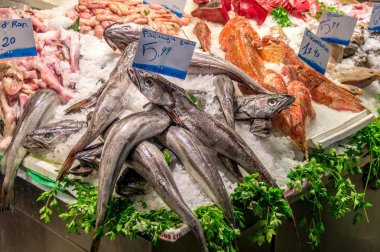 taze deniz ürünleri