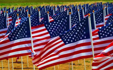 Bir alandaki bayrakları.