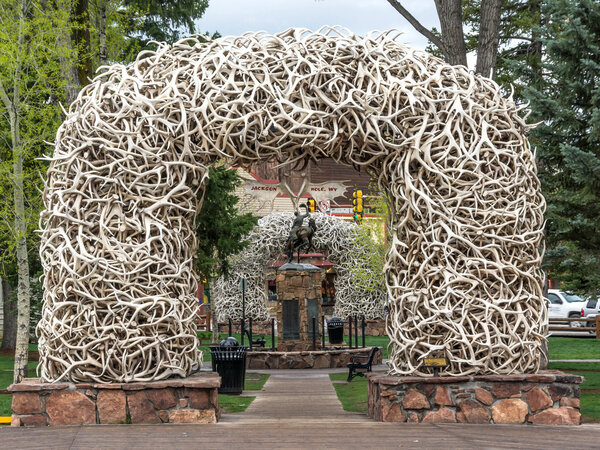 Elk antler arches 