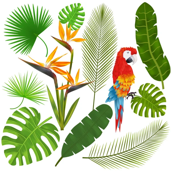 Тропічні листя, квіти та макарони Векторні ілюстрації — стоковий вектор