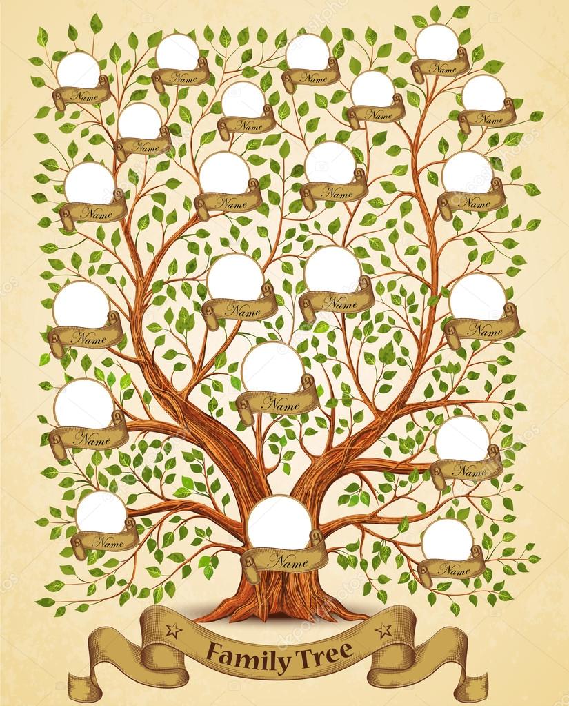 5 Generacion Arbol Genealogico Template