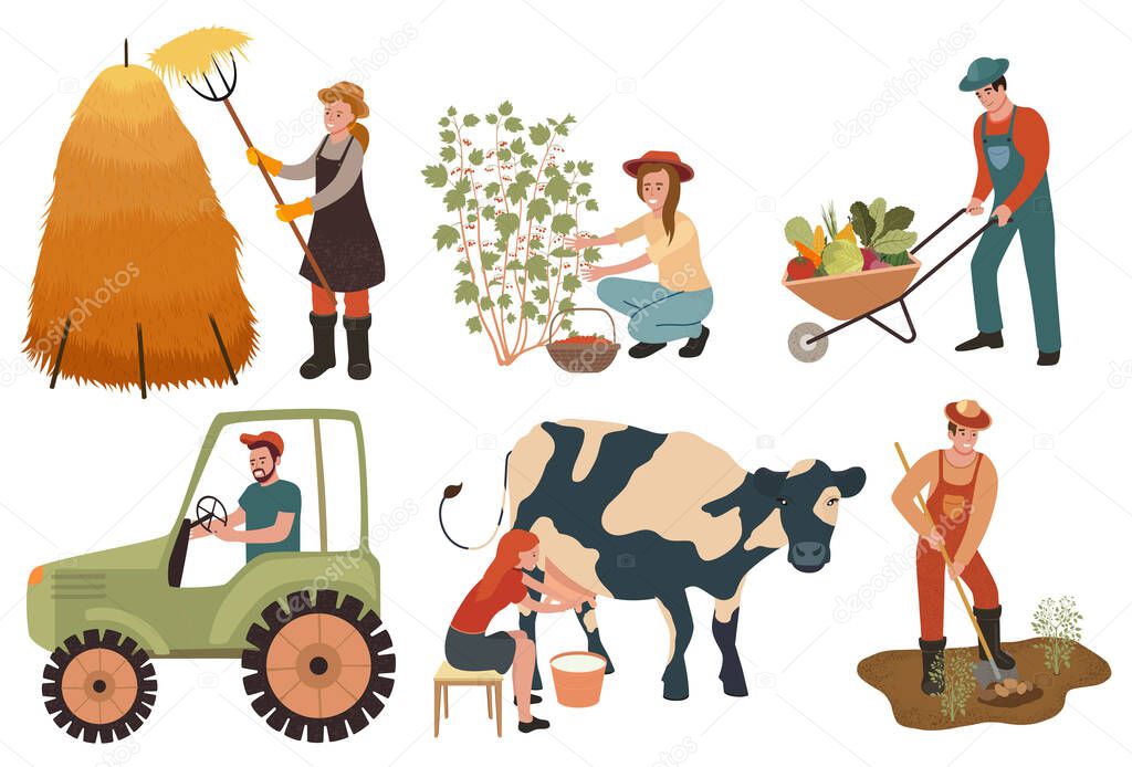 Agricultural workers. Farmers do agricultural work, planting and gathering crops. Woman milks a cow and picking berries. Cartoon characters doing farming job. Vector illustration