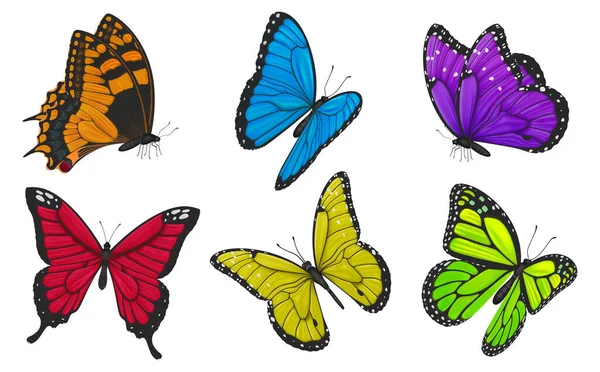 Set Farfalle Colorate Illustrazione Vettoriale — Vettoriale Stock