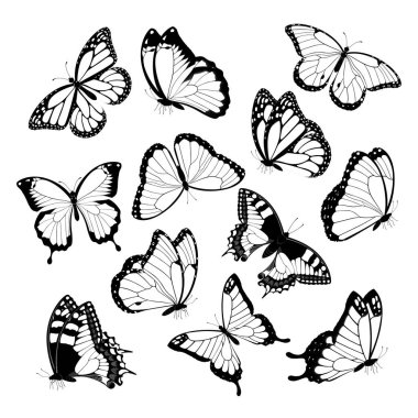 Free Free 247 Butterfly Swarm Svg Free SVG PNG EPS DXF File
