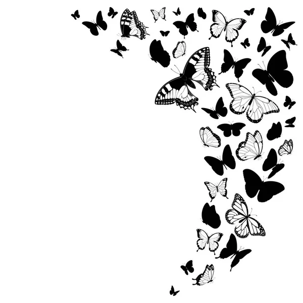 Чорно Білий Дизайн Метеликів Ізольований Білому Векторні Ілюстрації — стоковий вектор