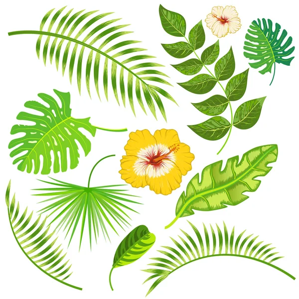 Tropical leaves and flowers vector Royalty Free Stock Illustrations