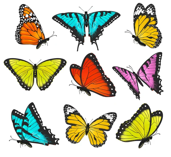 Conjunto de mariposas coloridas vector ilustración — Vector de stock