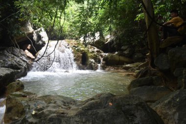 Myanmar 'daki tropikal ormanda şelale (Burma)