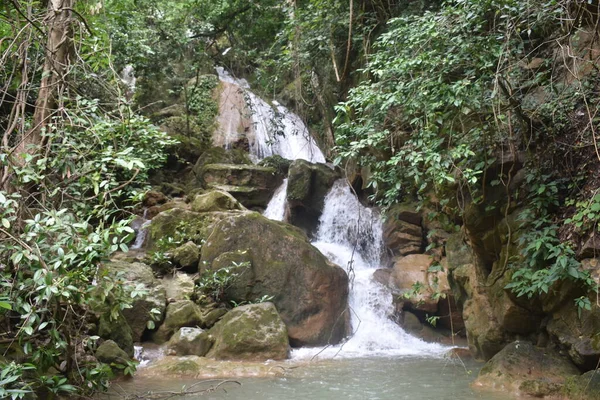 Myanmar 'daki tropikal ormanda şelale (Burma)