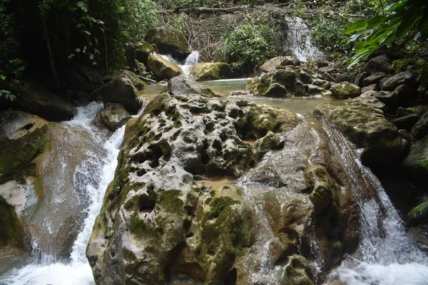 Myanmar 'daki tropikal ormanda şelale (Burma)