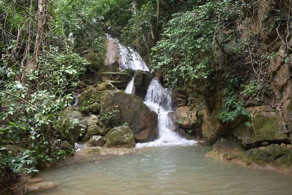 Myanmar 'daki tropikal ormanda şelale (Burma)