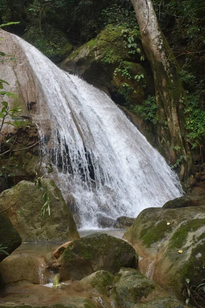 Myanmar 'daki tropikal ormanda şelale (Burma)