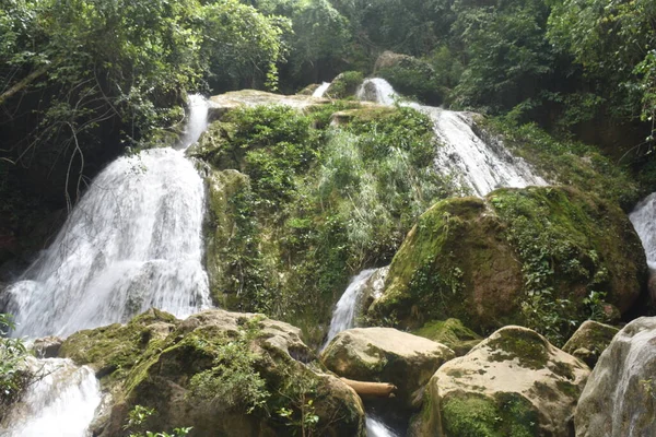 Myanmar 'daki tropikal ormanda şelale (Burma)