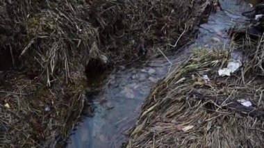 Vahşi doğada kayaların ve enkazın etrafından dolambaçlı sakin bir dere akar. HD video çevre kirliliği kavramı.