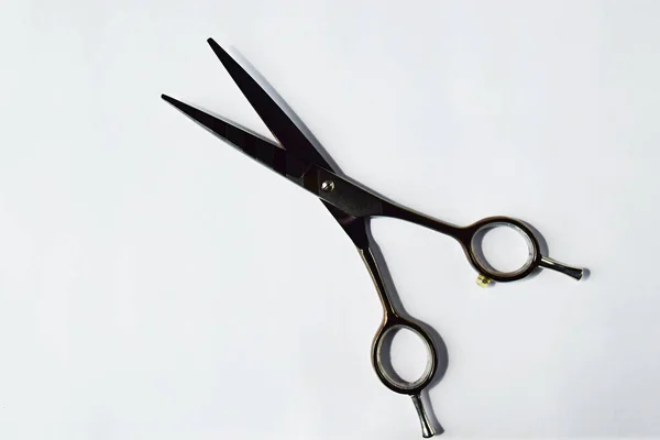 Professional hairdresser tools one scissors on a light background — Stock Photo, Image