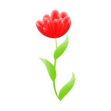 Beyaz arka planda izole edilmiş suluboya efektli vektör çiçek çizimi tasarımı. Tişört, kupa ve diğer şeylerde kullanılabilir.