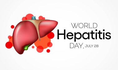 Dünya Hepatit Günü her yıl 28 Temmuz 'da gözlemlenir, karaciğer iltihaplandığında veya hasar gördüğünde, işlevi etkilenebilir ve bazı tıbbi durumlar hepatite neden olabilir. Vektör illüstrasyonu.
