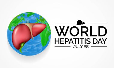 Dünya Hepatit Günü her yıl 28 Temmuz 'da gözlemlenir, karaciğer iltihaplandığında veya hasar gördüğünde, işlevi etkilenebilir ve bazı tıbbi durumlar hepatite neden olabilir. Vektör illüstrasyonu.