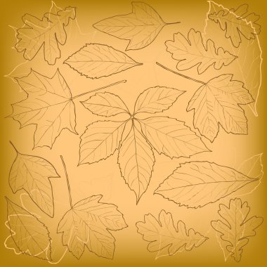 desen arka plan bırakır