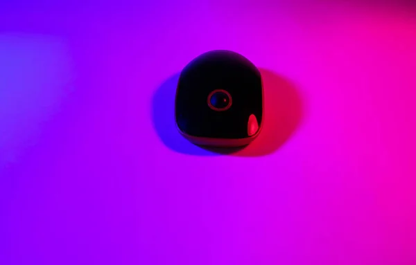 computer mouse in blue pink color neon background, empty space, ultraviolet light, photo taken in a photo studio