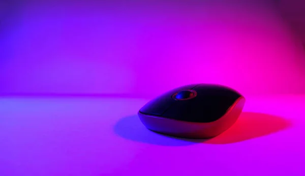 computer mouse in blue pink color neon background, empty space, ultraviolet light, photo taken in a photo studio