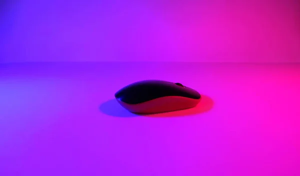 Computer Muis Blauw Roze Kleur Neon Achtergrond Lege Ruimte Ultraviolet — Stockfoto
