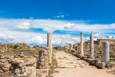 Antik Yunan şehri Salamis 'in kalıntıları. Ortaçağ sütunları ve taşları, tarihi mimari, turizm, Kıbrıs, Famagusta. Beyaz bulutlu açık mavi gökyüzü.