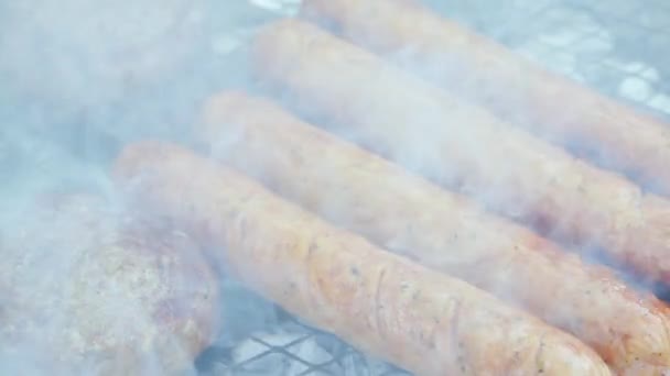 Obearbetat kött på grill, grillkotletter och korv i örter och kryddor stekta på kol — Stockvideo