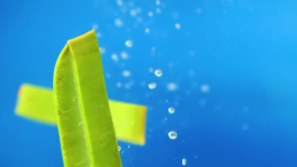 Fresca caduta fette di Aloe Vera in acqua, bolle, fondo blu, rallentatore — Video Stock