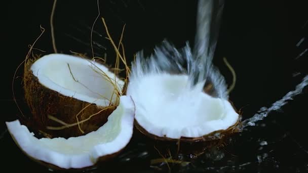 Spritzende Kokosmilch, haarige Schale weißes Fruchtfleisch auf schwarzem Hintergrund, Kopierraum — Stockvideo