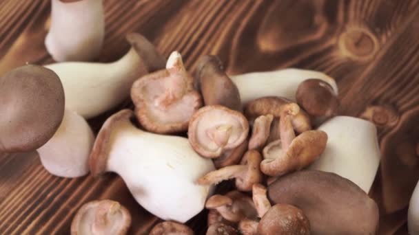 Gezonde rauwe koningsoester en shiitake champignons op een houten plank, slow motion 4K — Stockvideo