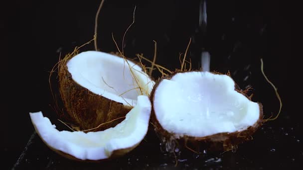 Stříkající kokosové mléko, chlupatá skořápka bílé maso na černém pozadí, kopírovací prostor — Stock video