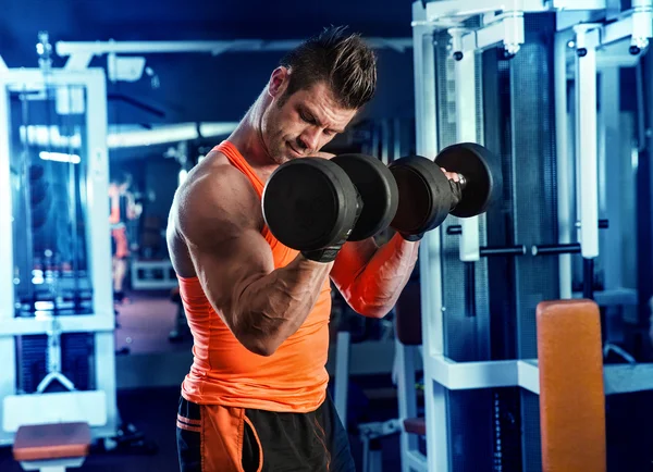 Powerlifter com fortes braços levantando pesos — Fotografia de Stock