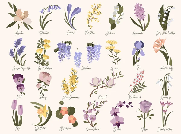 İlkbahar modern çiçekleri. Azalea, BlueBell, crocus, nergis, forsythia, üzümlü sümbül, iris, yasemin, kaffir zambağı, manolya, nasturtiyum, orkide, ayva, roze, kartopu, lale, ulex, pastel renklerde salkım.