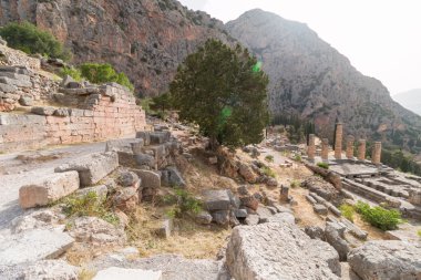 Arkeolojik, Delphi, Yunanistan
