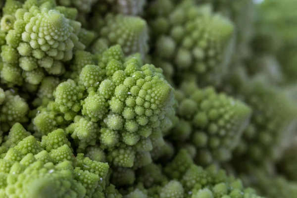 Μπρόκολο κουνουπίδι Romanesco — Φωτογραφία Αρχείου