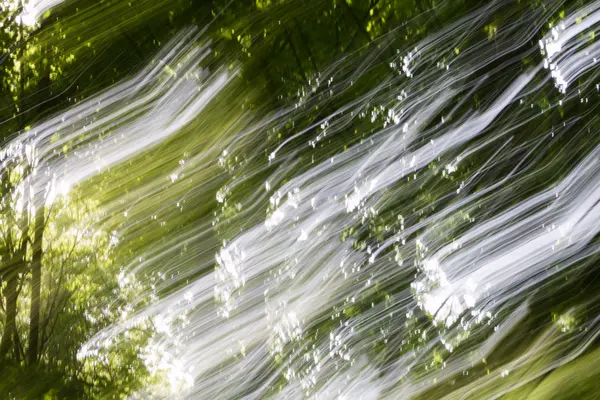 Abstrato padrões de luz no fundo da floresta verde turva — Fotografia de Stock