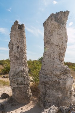 Varna, Bulgaristan yakınındaki Taş Çölü (Pobiti kamani)