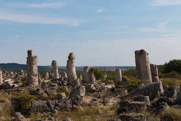 Varna, Bulgaristan yakınındaki Taş Çölü (Pobiti kamani)