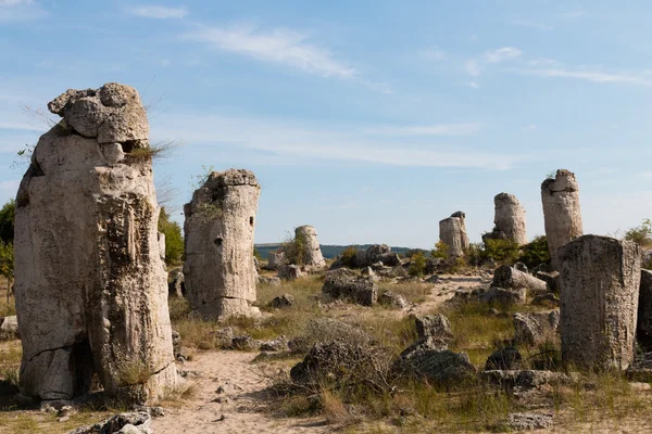 El desierto de piedra (Pobiti kamani) cerca de Varna, Bulgaria — Foto de Stock