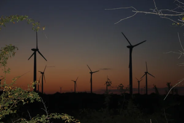 日暮时分，黑海，保加利亚的风力涡轮机 — 图库照片