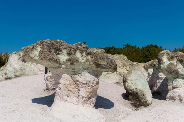 Fenómeno natural Setas de piedra, Bulgaria — Foto de Stock