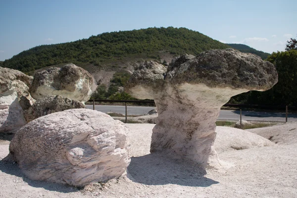 Doğal olay Bulgaristan taş mantar, — Stok fotoğraf