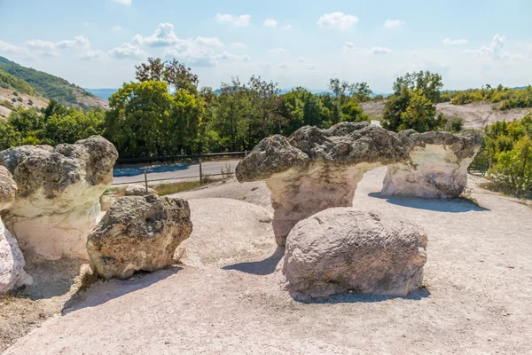 Doğal olay Bulgaristan taş mantar, — Stok fotoğraf