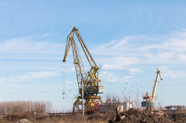 Lom, Bulgaristan Danube kenti limanında Vinçler